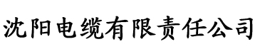 欧美日韩综合一区电缆厂logo